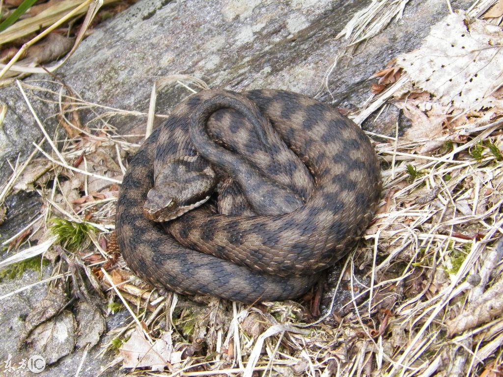 吉林之光，学习变革的力量与自信成就梦想之路