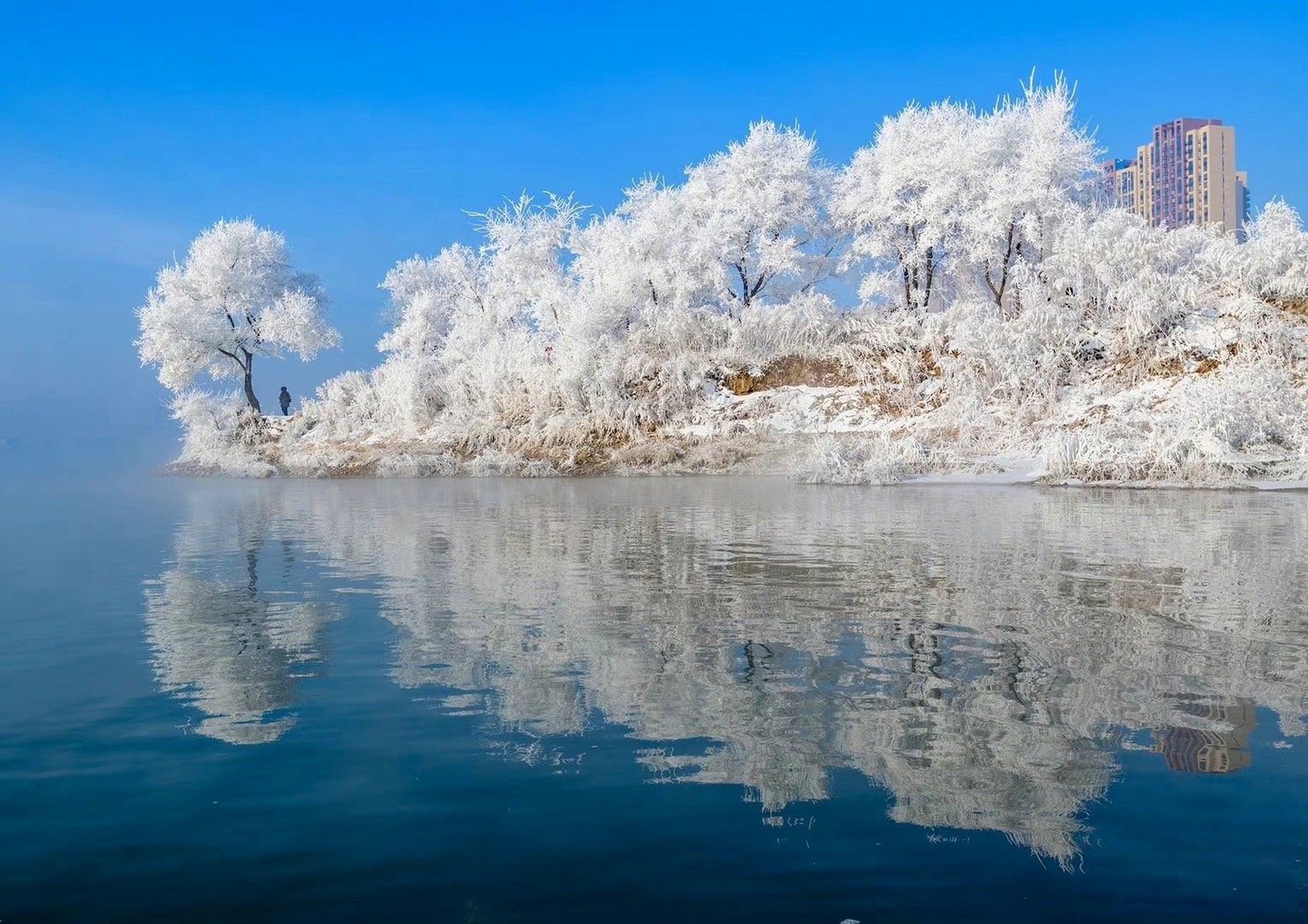 振兴吉林,再谱东北新篇章