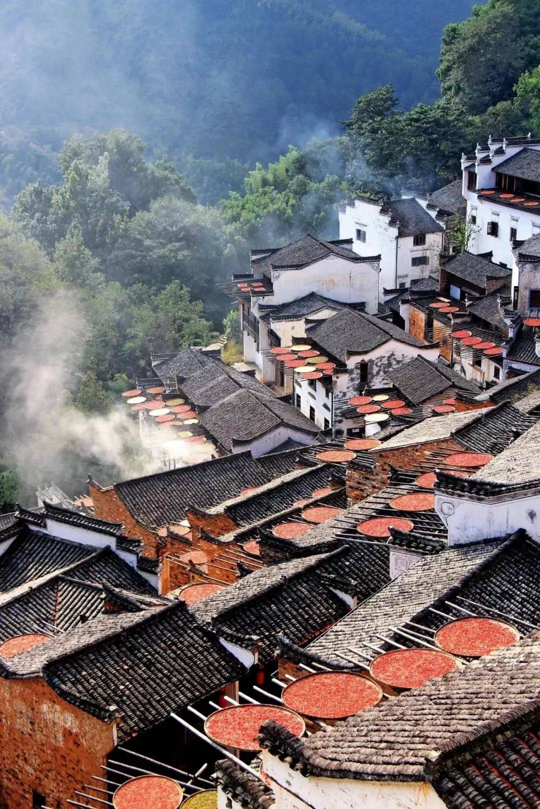 江西，红色故土 绿色家园的播音稿纪行