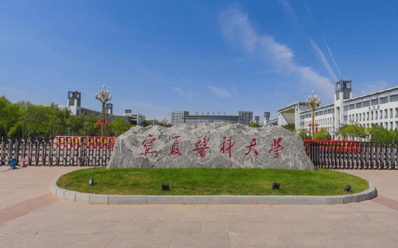 宁夏,致敬领导与同胞的深情之声